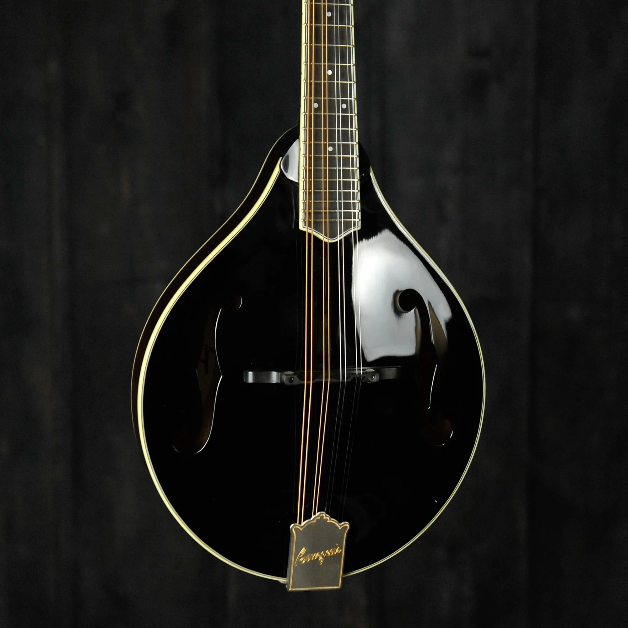 Mandolin Strings | Buy Mandolin Strings Online – Gladesville