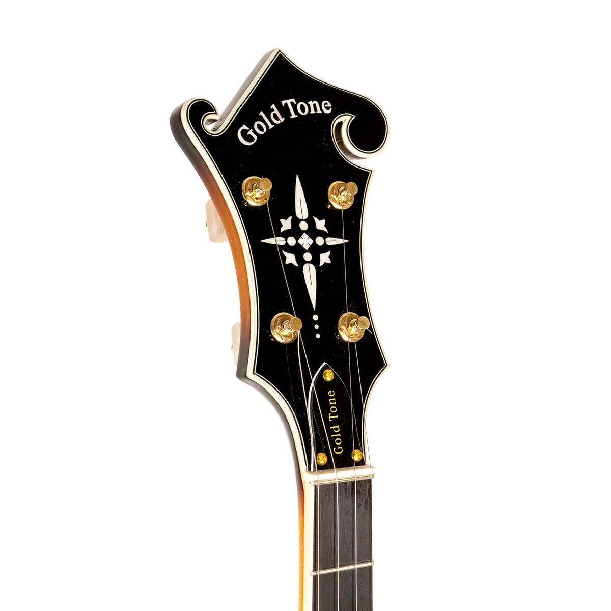 Gold Tone EB-M5 Electric Solid Body 5-String Banjo  (no case)
