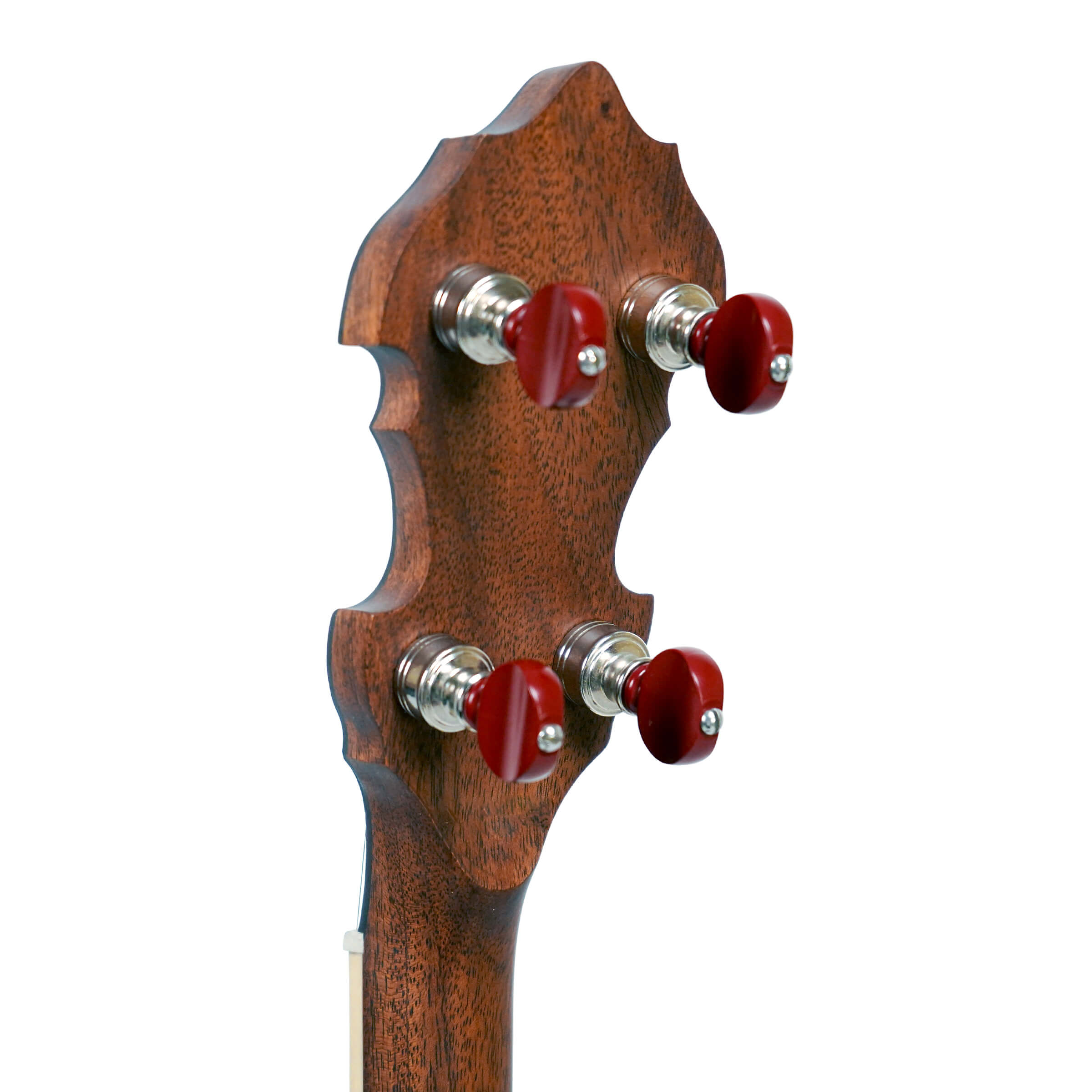 Gold Tone OB-Bela Fleck Signature Banjo w/case