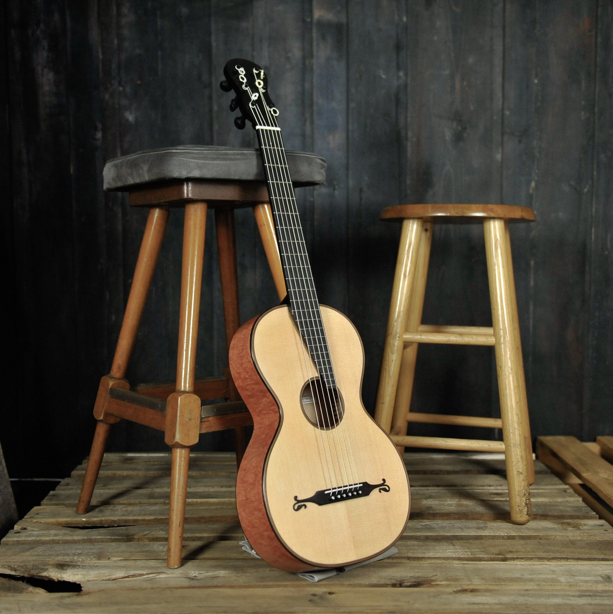 Altamira Vienna Stauffer Style Guitar w/Bag