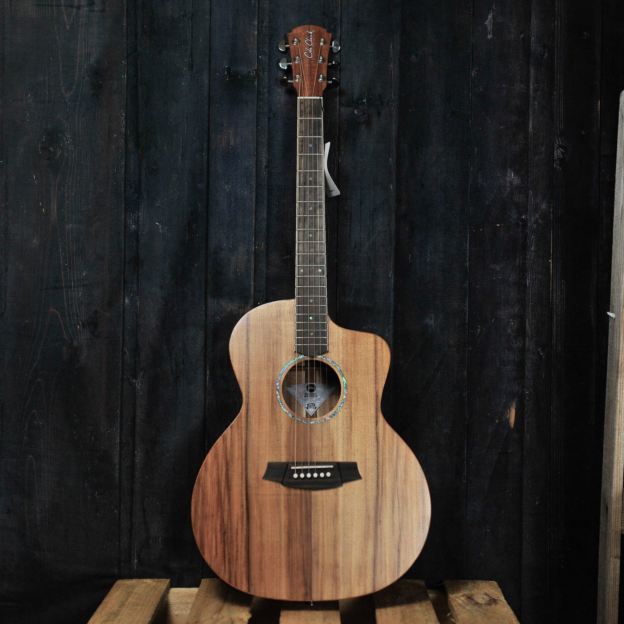 Cole Clark Studio AN1EC All Blackwood w/Bag