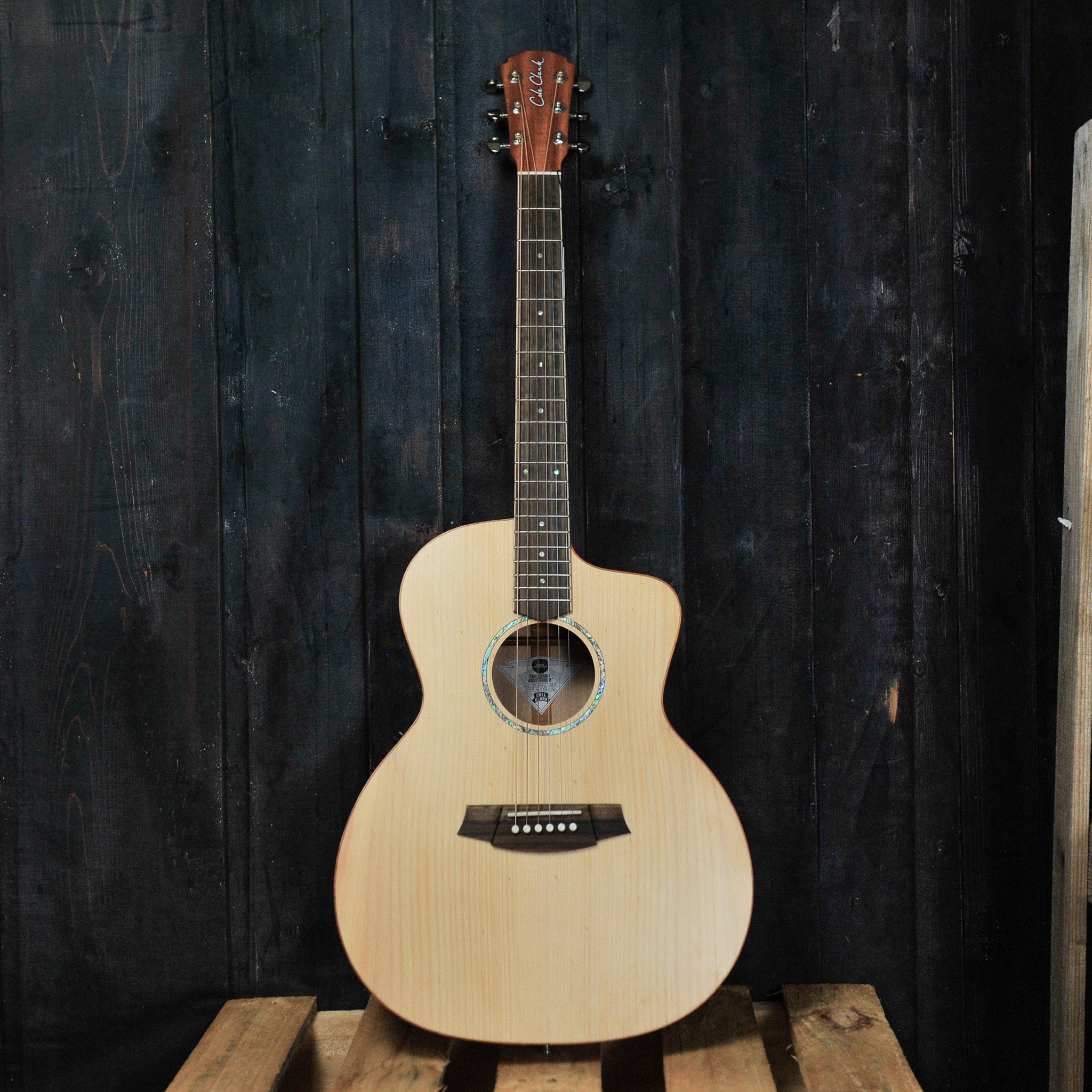 Cole Clark Studio AN1EC Bunya Maple w/Bag