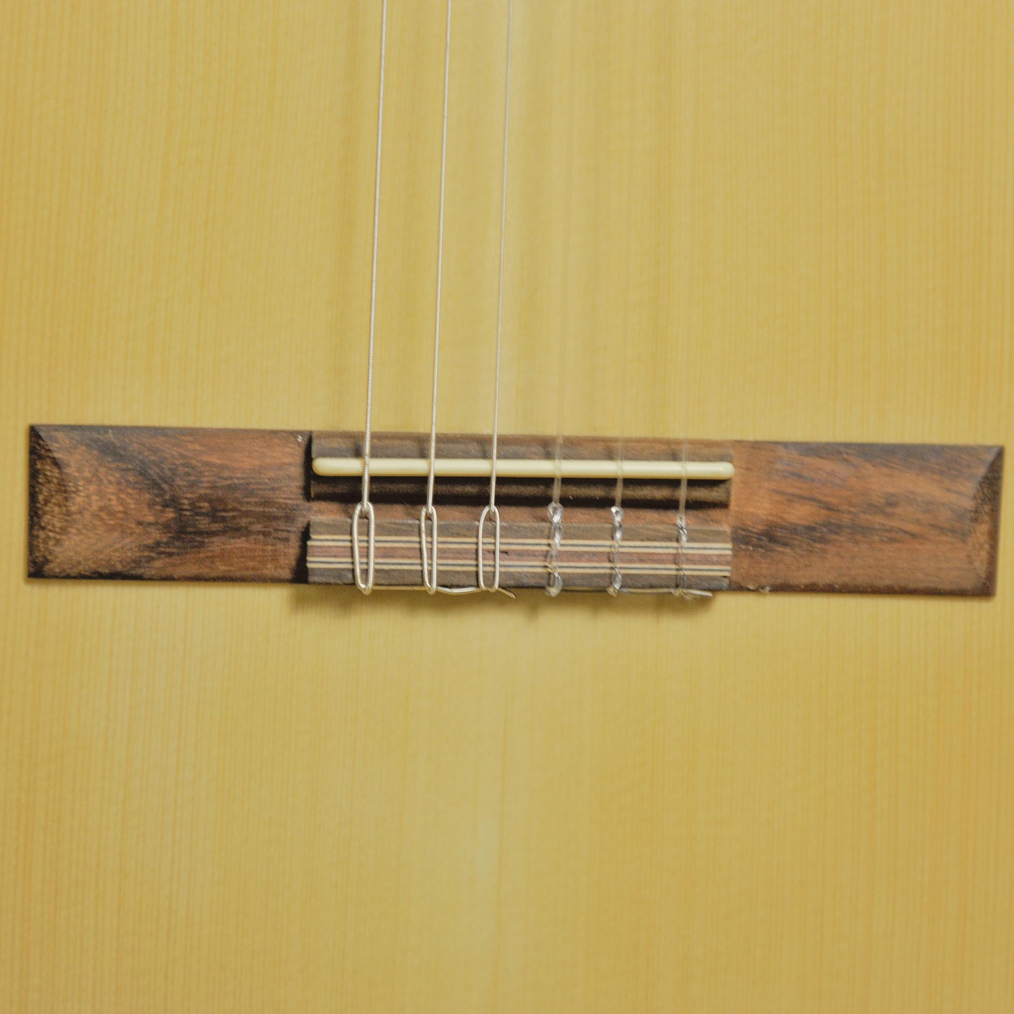 Cordoba C1M Protege 4/4 Full Size w/Bag - Shop Soiled