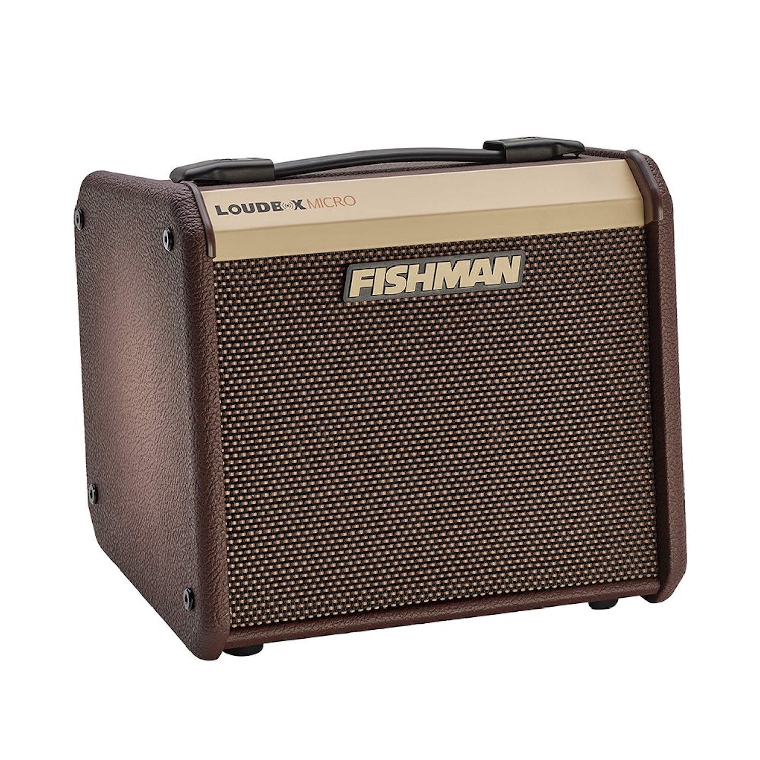 Fishman Loudbox Micro 40W Acoustic Guitar Amplifier with Reverb & Chorus