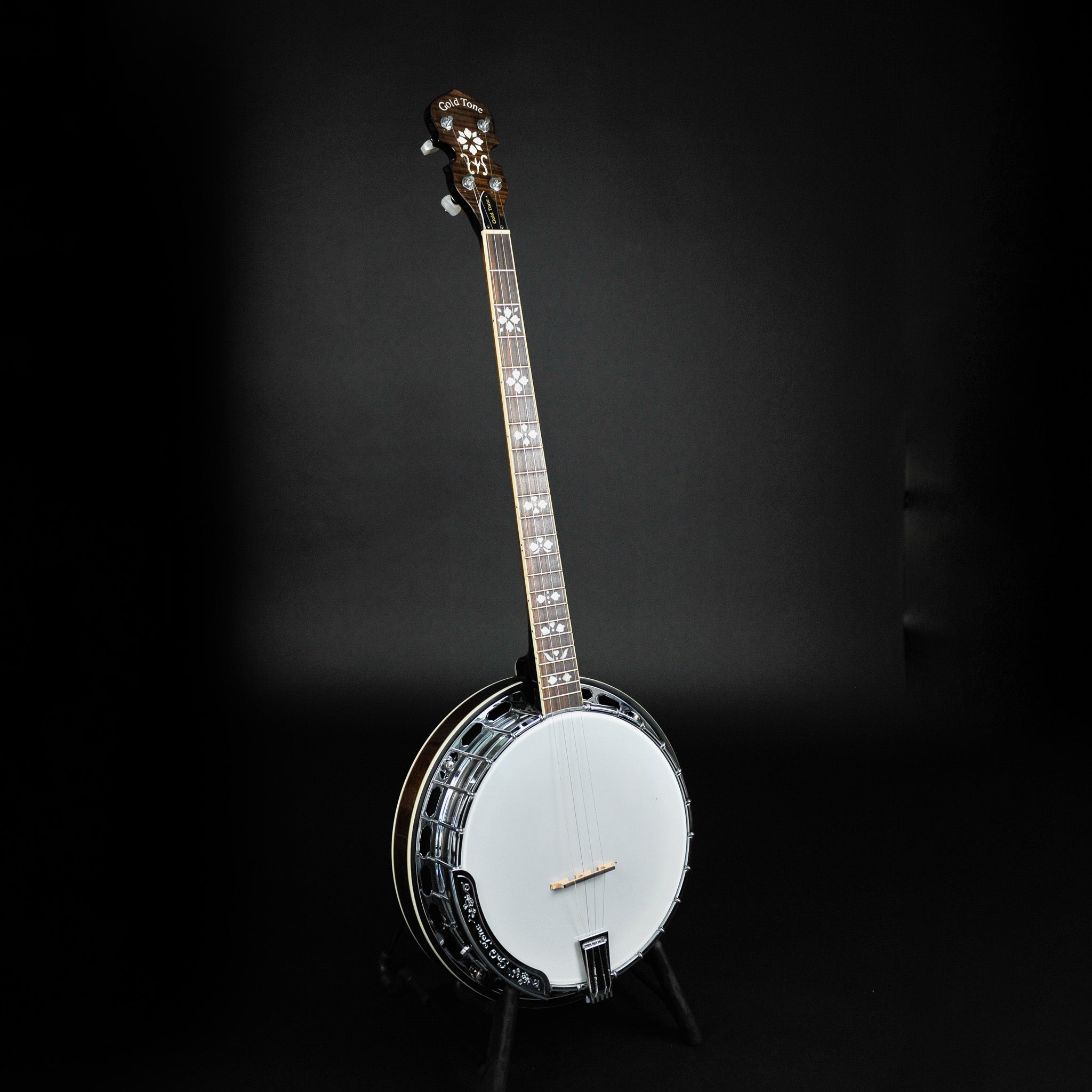 4 string plectrum deals banjo