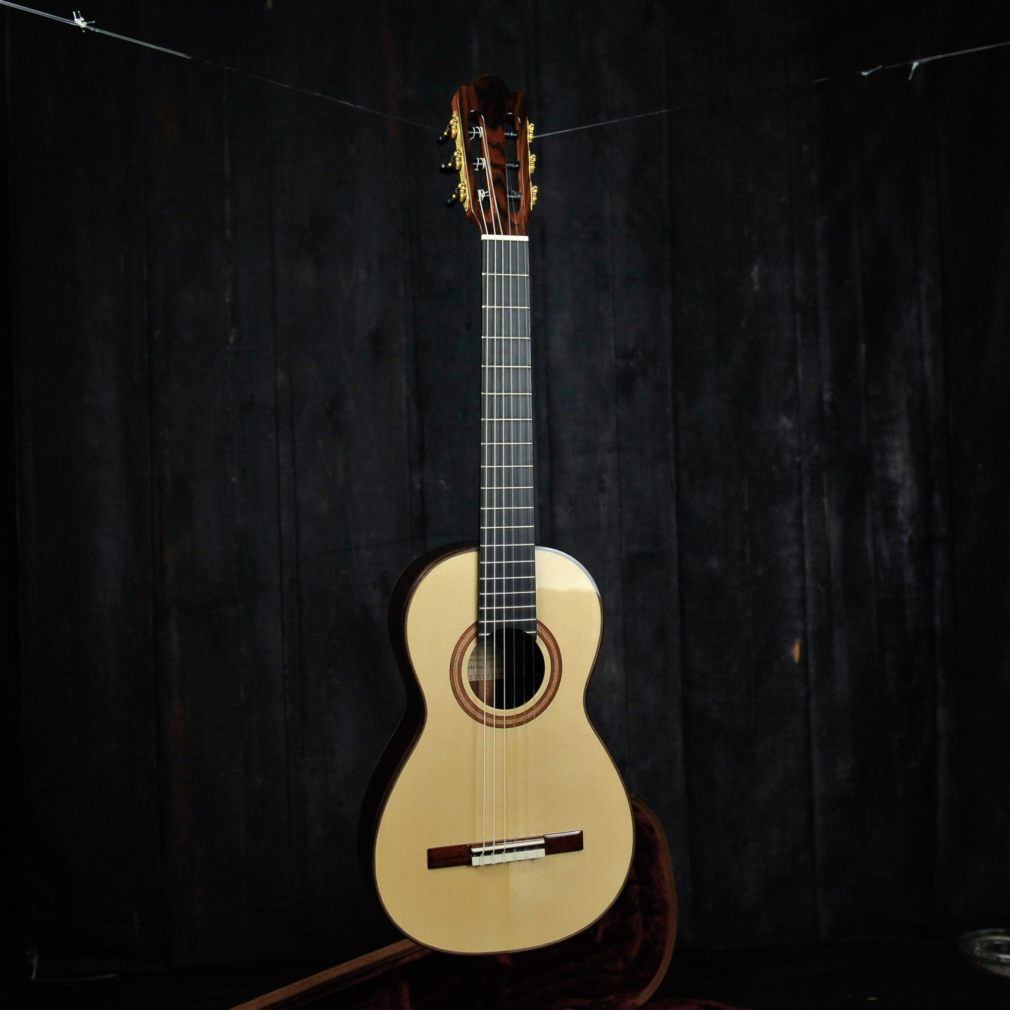 Wolfgang Jellinghaus - Antonio De Torres 77-PU w/Case