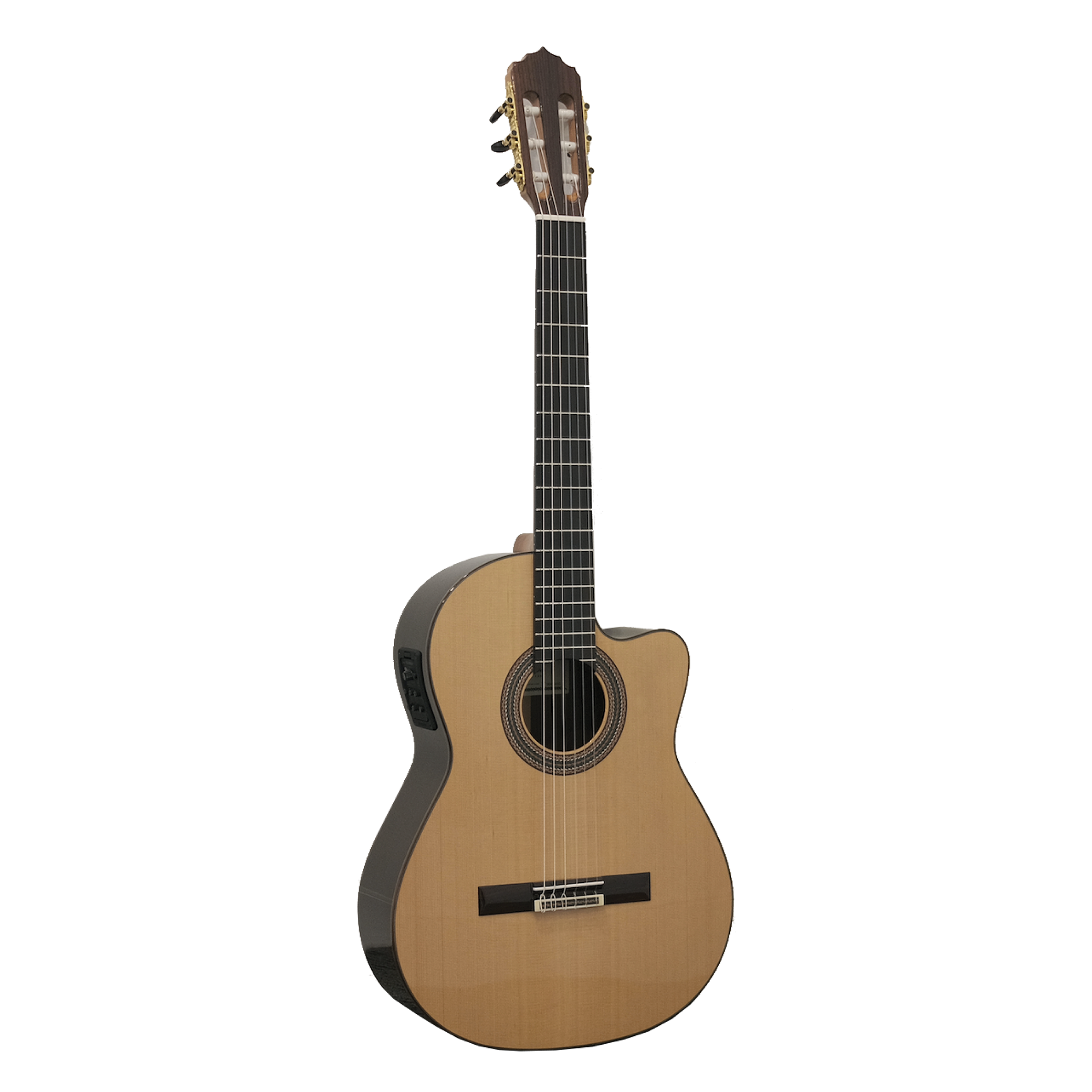 Hybrid online classical guitar