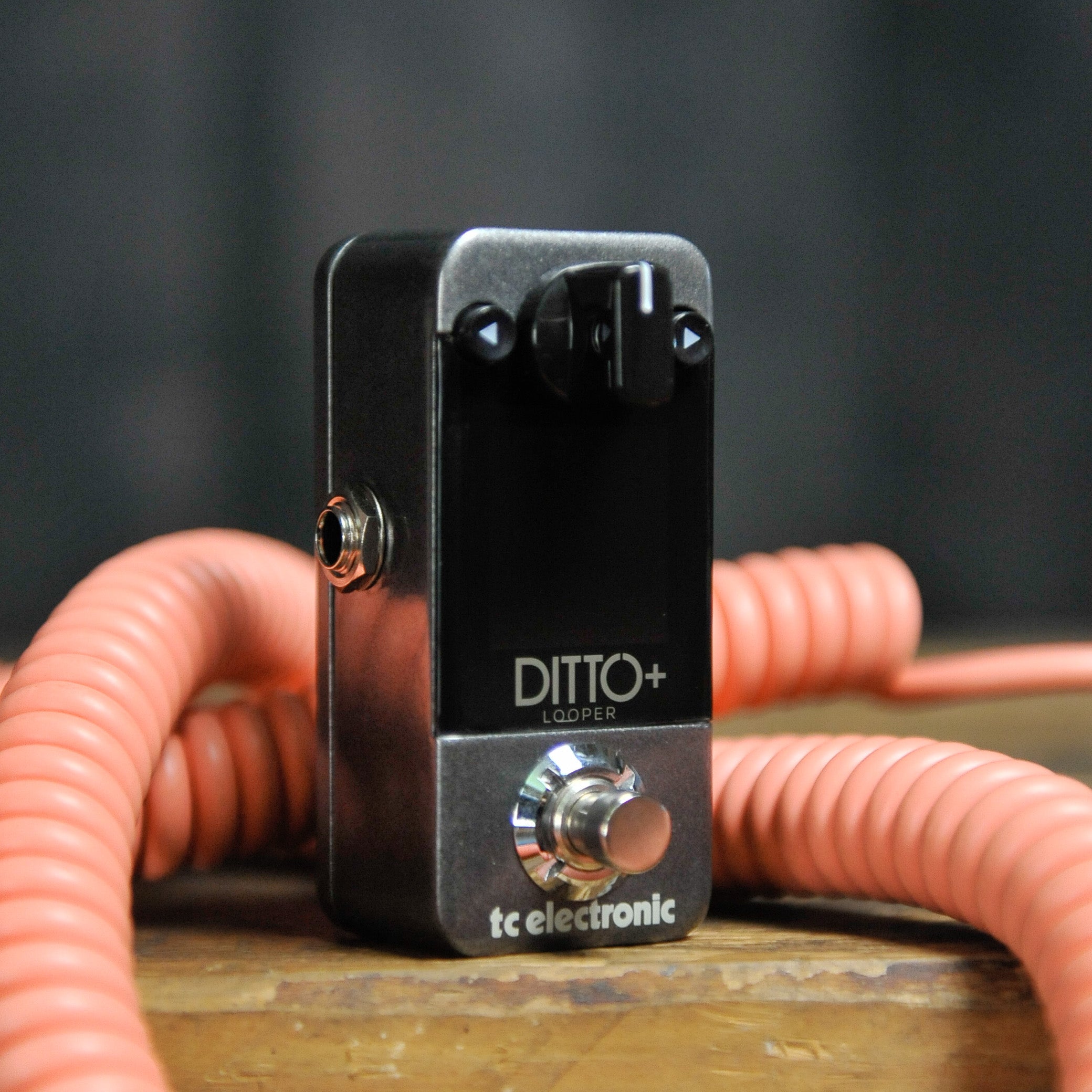 ギター tc electronic DITTO+ LOOPER TC Electronic Ditto+ Looper – Gladesville Guitar Factory
