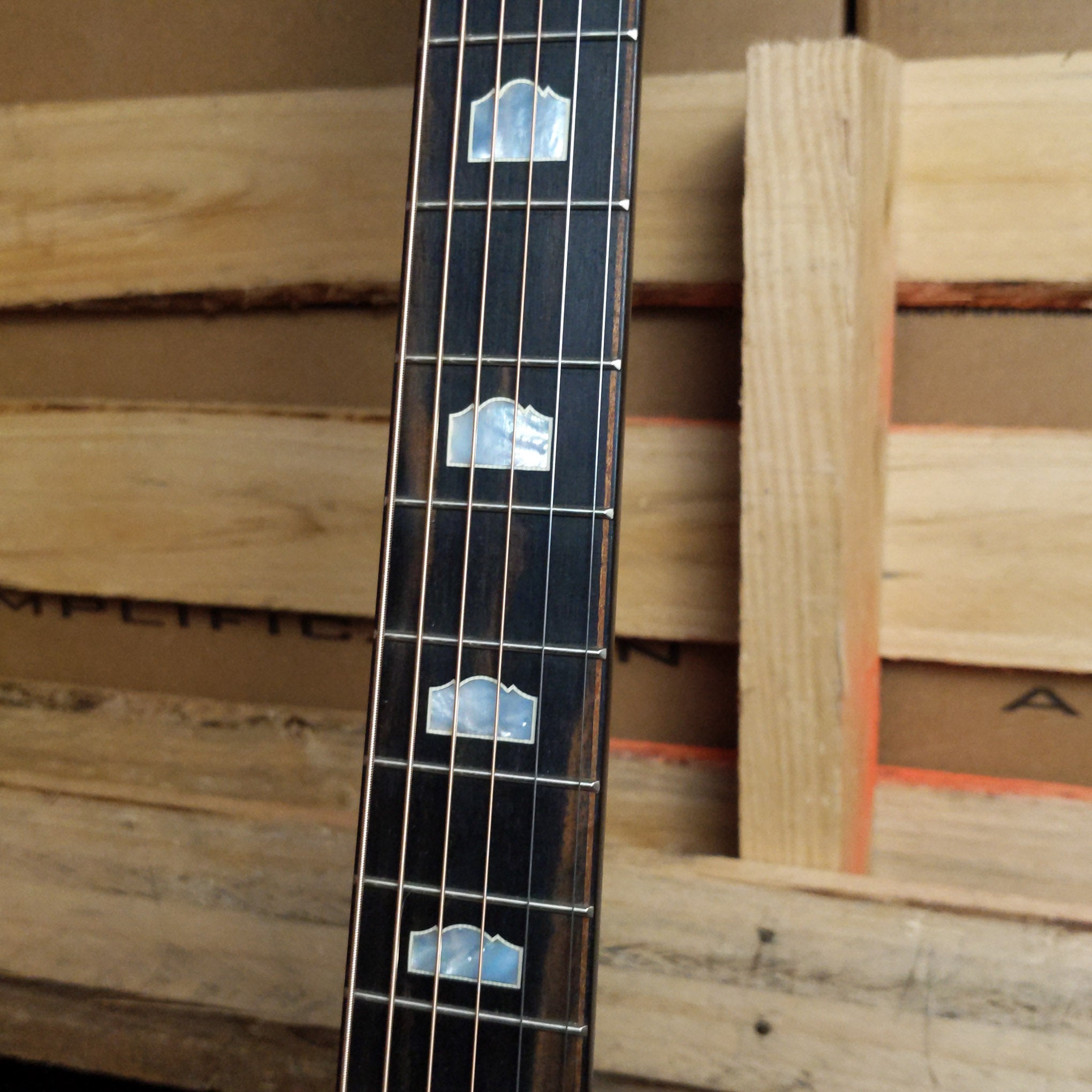 Taylor 618E Grand Orchestra