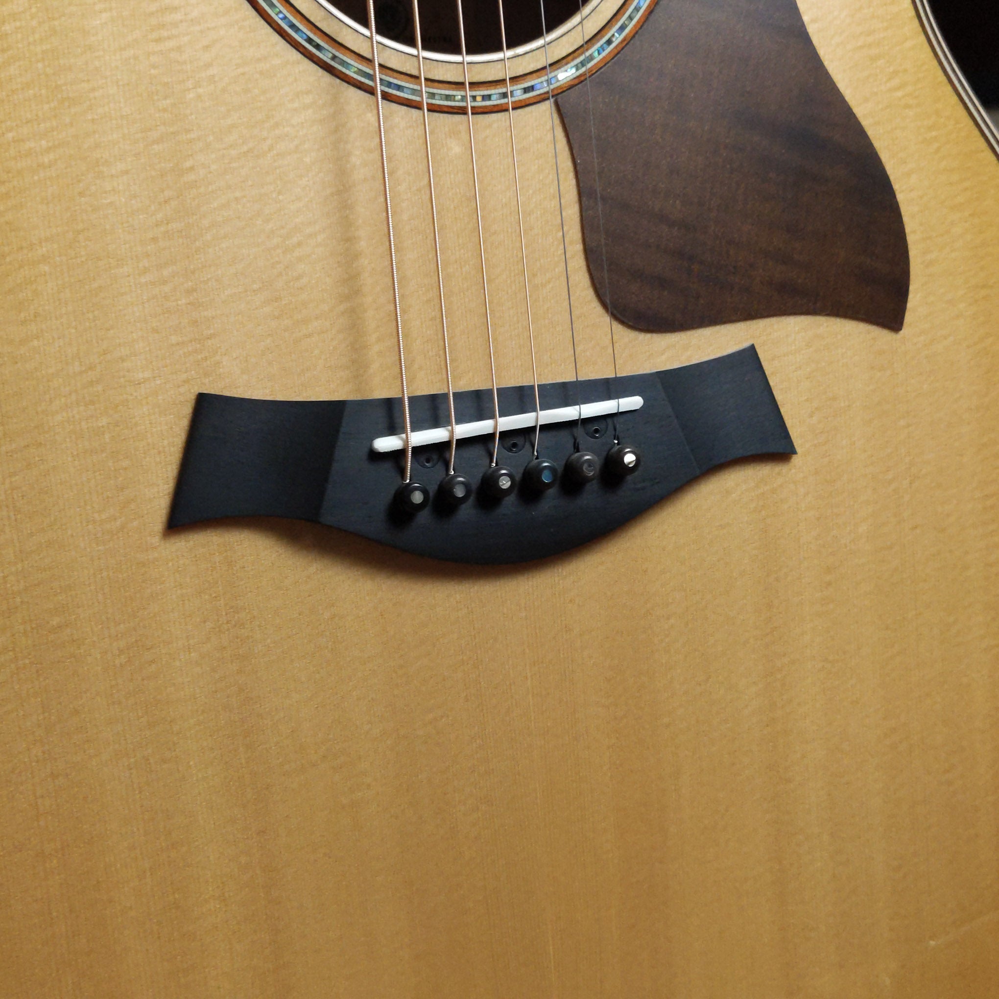 Taylor 618E Grand Orchestra