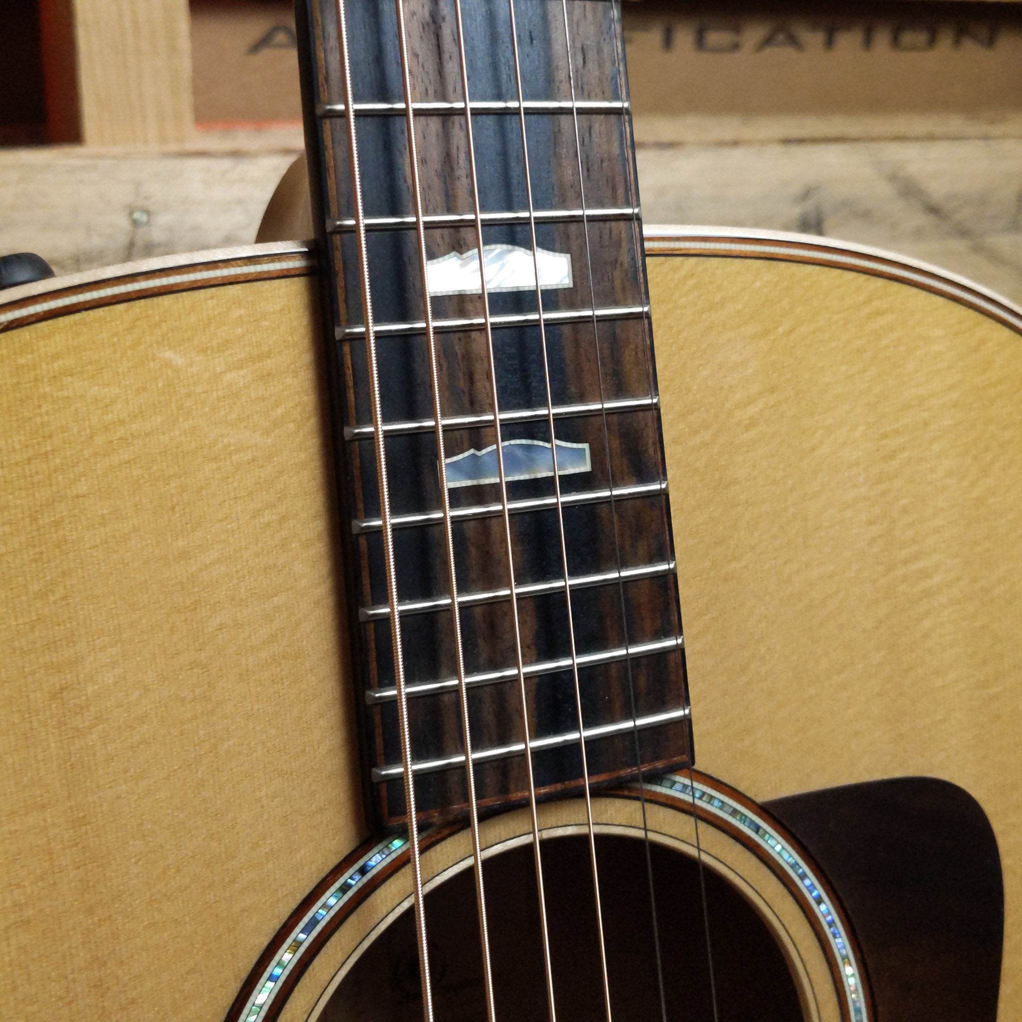 Taylor 618E Grand Orchestra