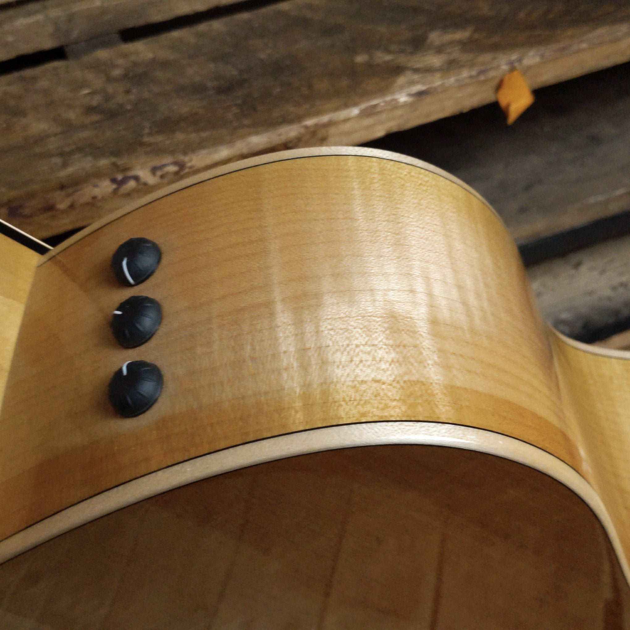 Taylor 618E Grand Orchestra