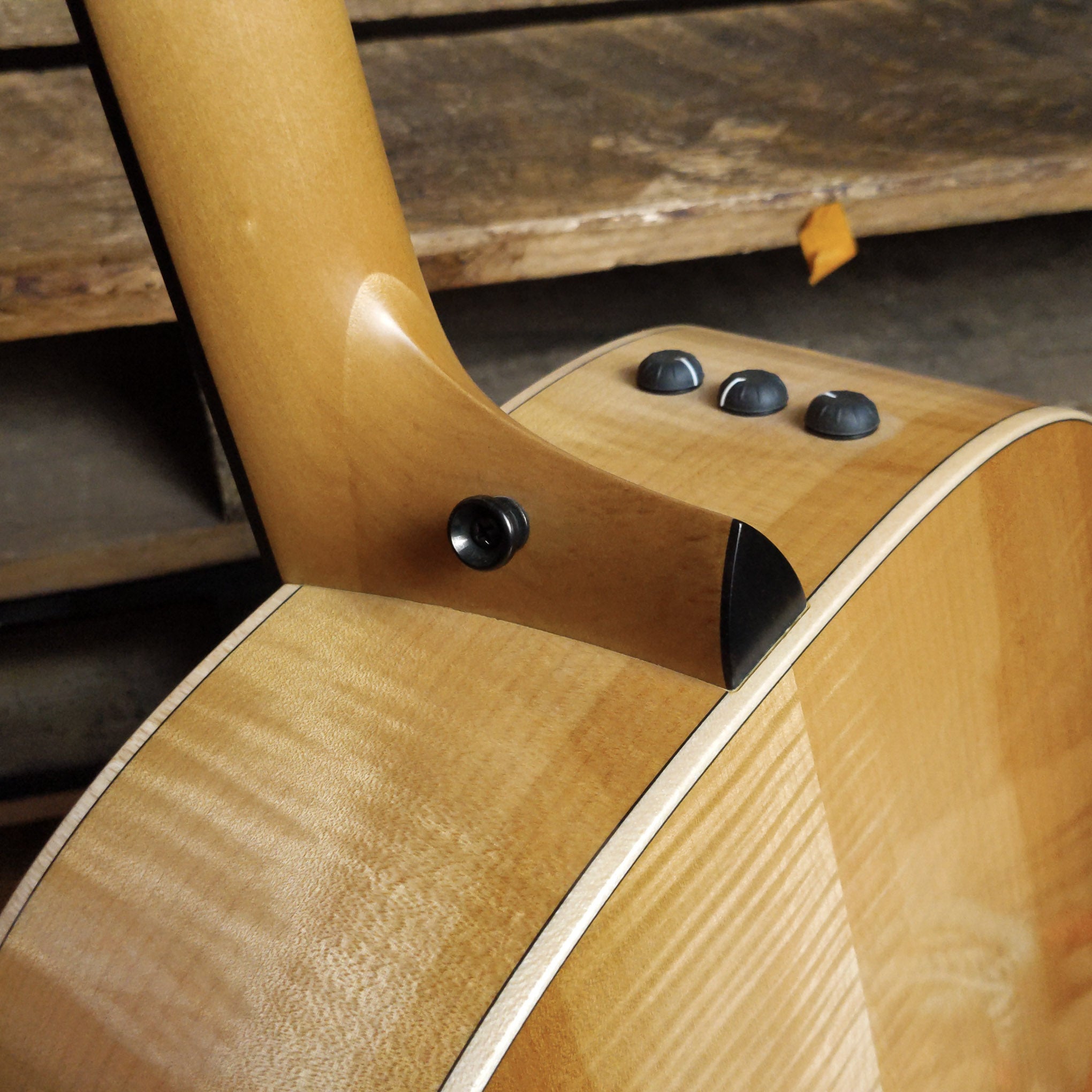 Taylor 618E Grand Orchestra