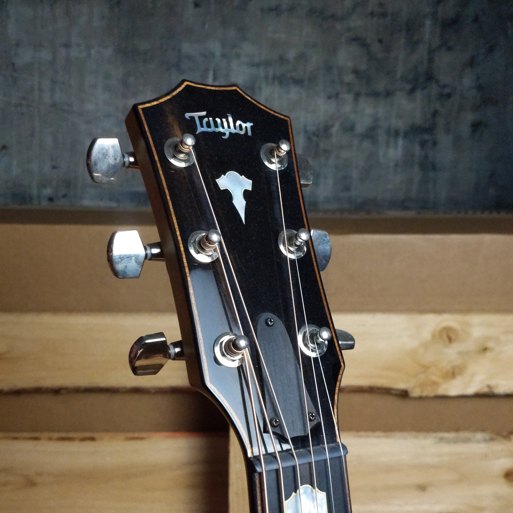 Taylor 618E Grand Orchestra
