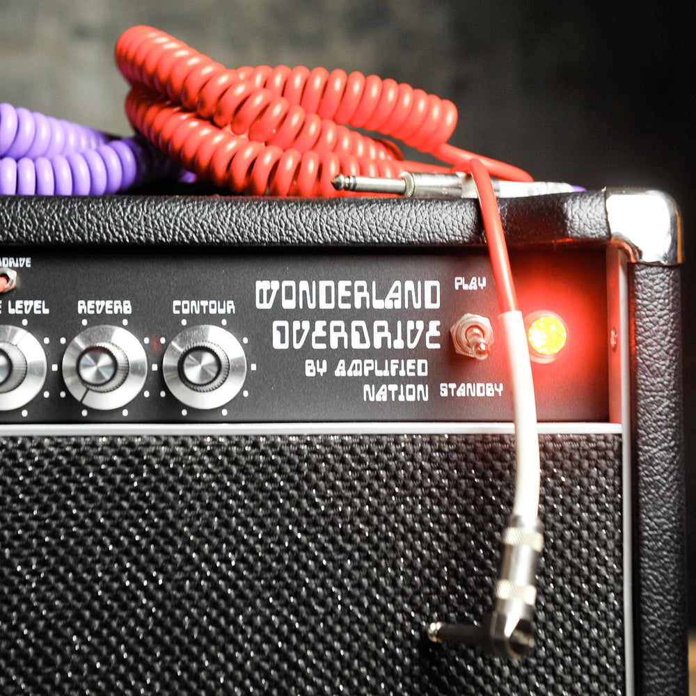 Amplified Nation Wonderland Overdrive 50W Head w/Matching 112 Cab - Used