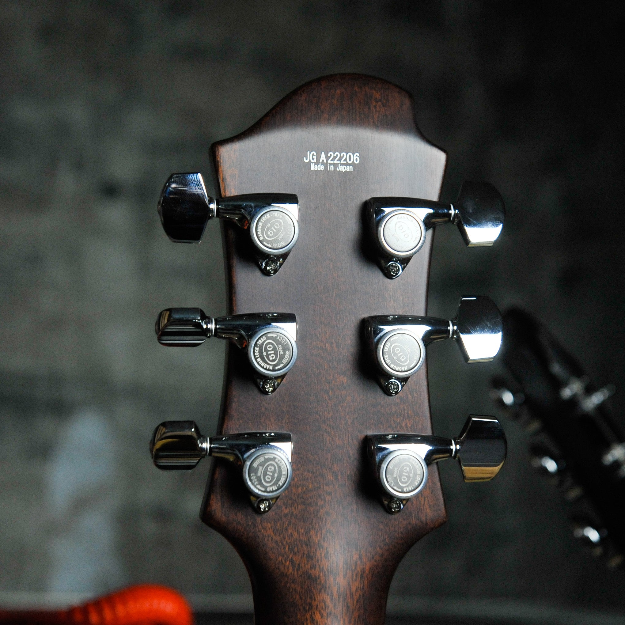 Zemaitis DFG24-2 Humbucker Electric Guitar - Natural