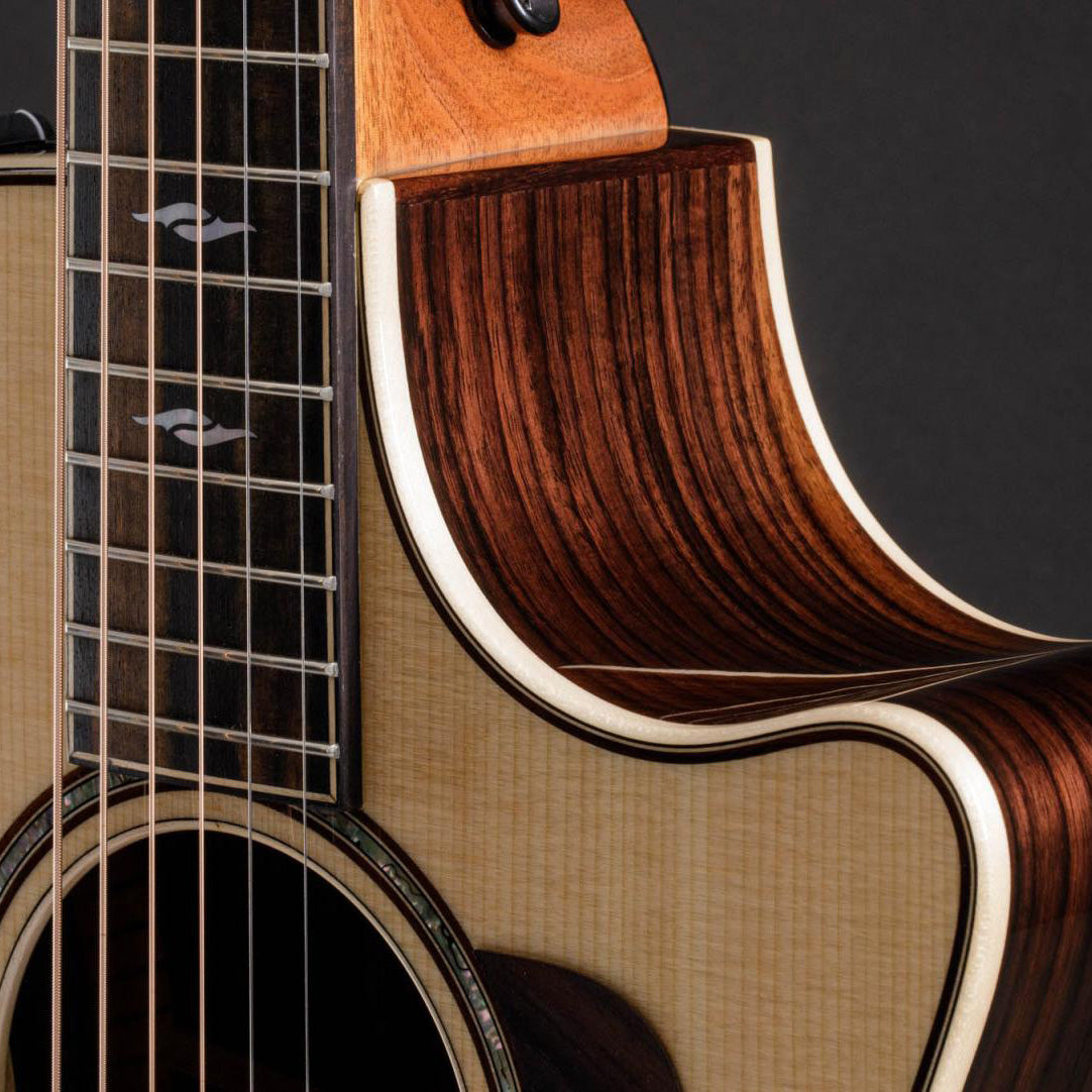 Taylor 814CE  Grand Auditorium, V-Class Bracing