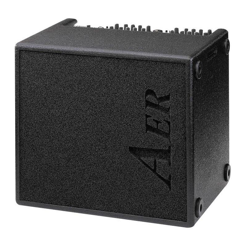 AER Domino 2 Acoustic Guitar Amplifier
