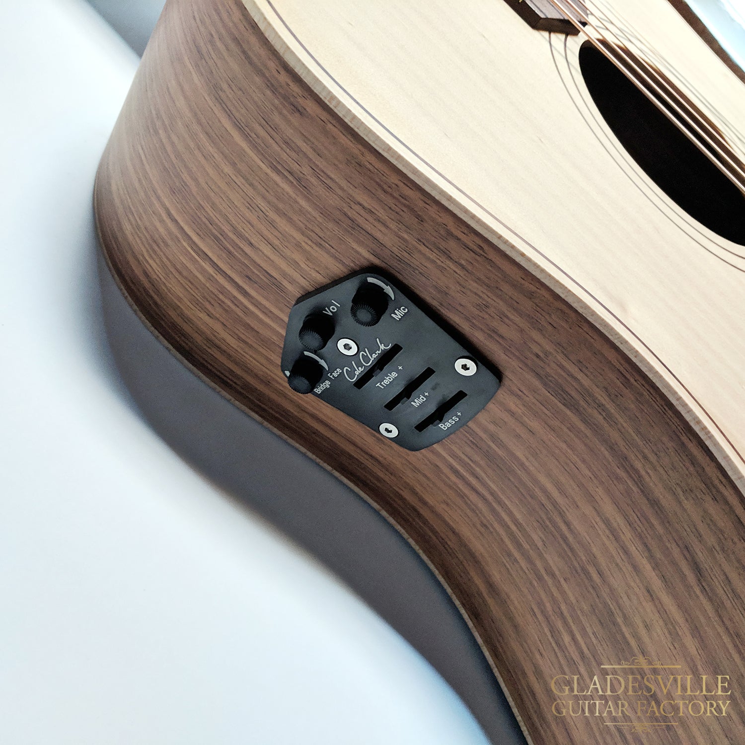 Cole Clark FL2EC-BB Bunya Blackwood