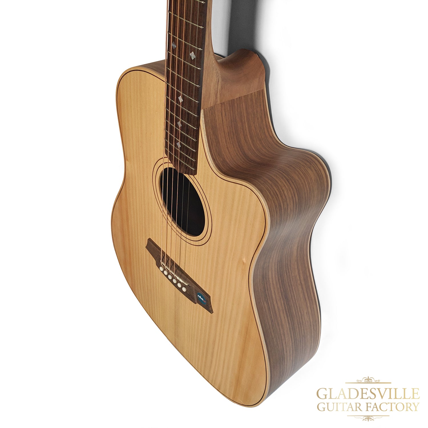 Cole Clark FL2EC-BB Bunya Blackwood