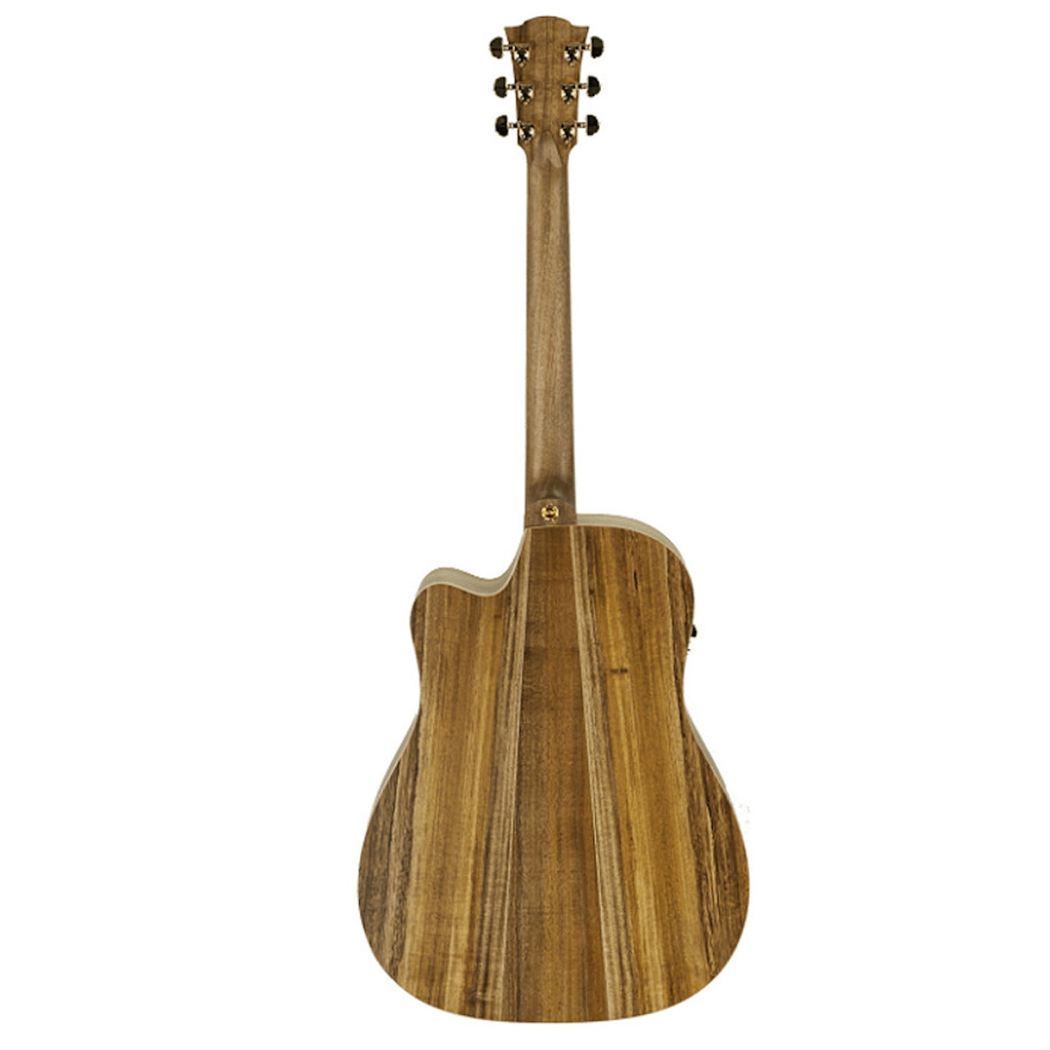Cole Clark FL2EC-BLBL Fat Lady 2 All Blackwood