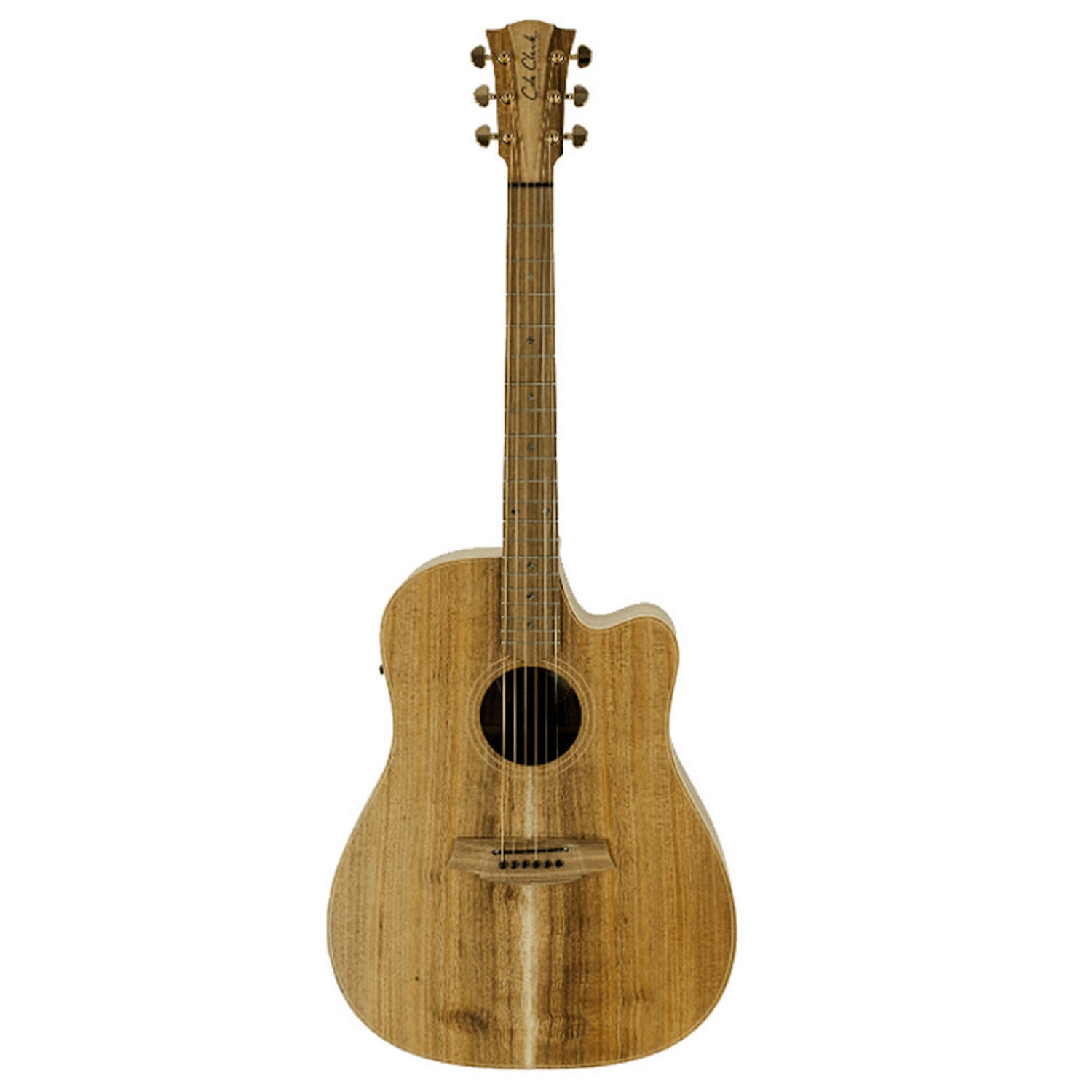 Cole Clark FL2EC-BLBL Fat Lady 2 All Blackwood