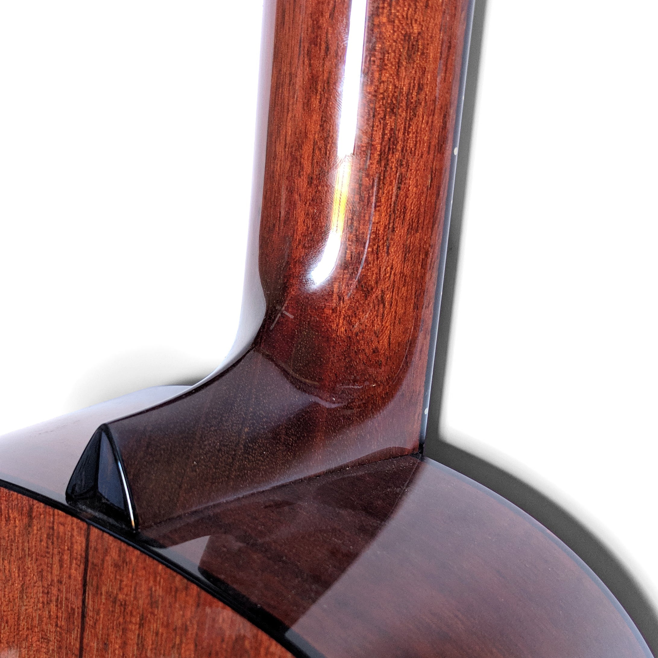 Collings Parlor 1T Mahogany Top