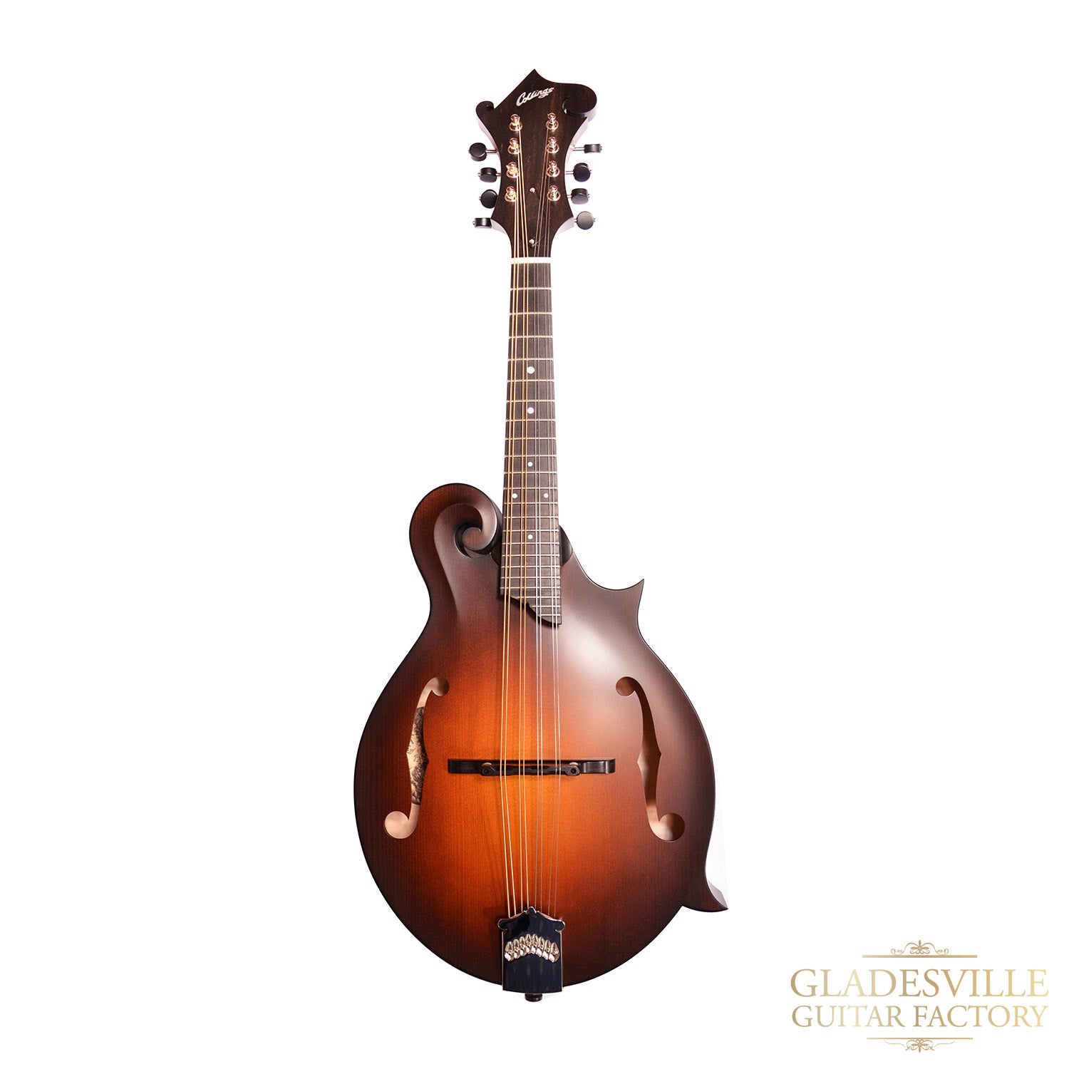 Collings MF F-Style Mandolin
