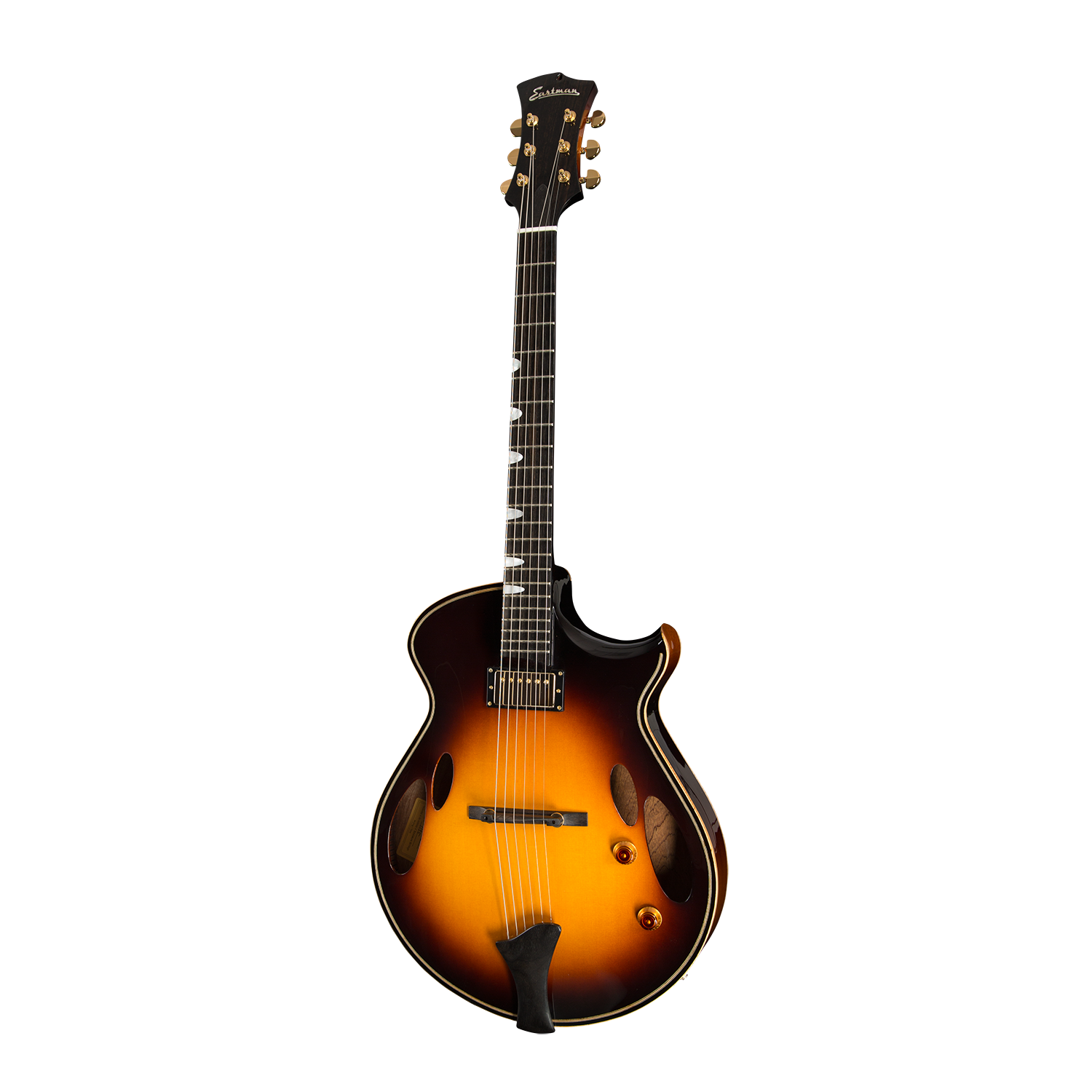 Eastman archtop guitars for sale store