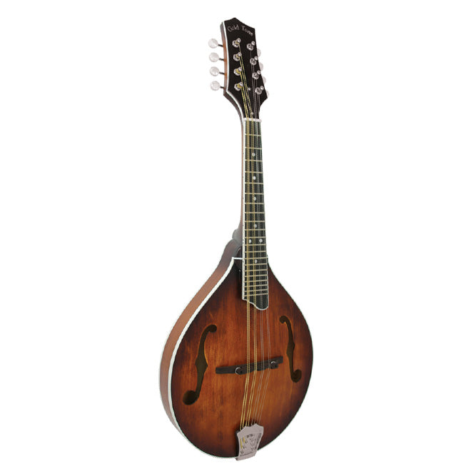 Gold Tone GM55A Mandolin