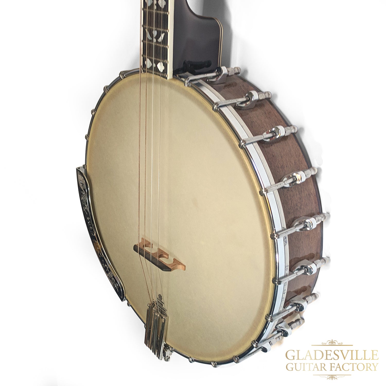 Gold Tone Sound Bird Custom Tenor Open Back Nylon Banjo