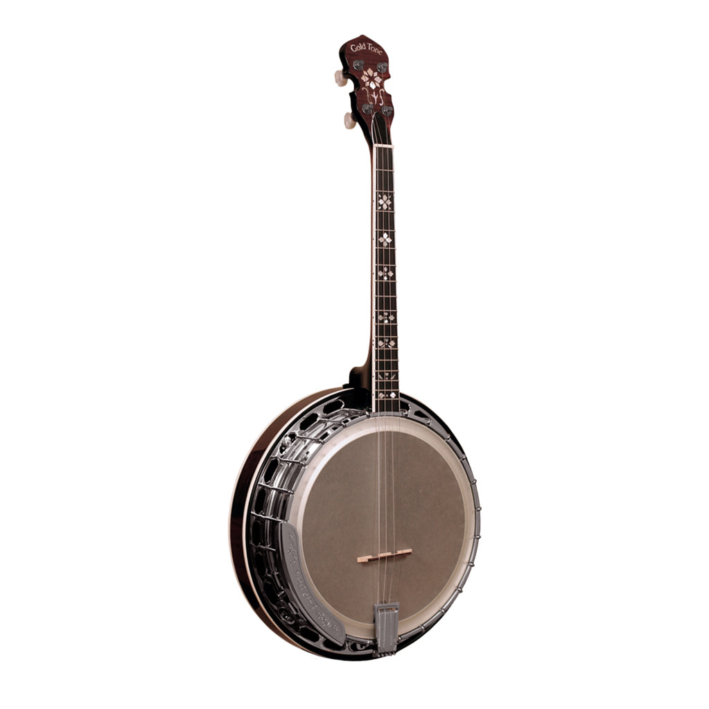 Gold Tone IT-250F Irish tenor short scale arch top tone ring  with resonator