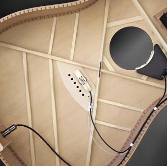 LR Baggs Anthem Acoustic Guitar Pickup + Microphone