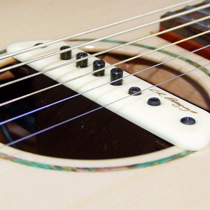 LR Baggs M1 Passive Sound Hole Magnetic Pickup for Acoustic Guitar