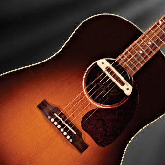LR Baggs M80 Acoustic Soundhole Pickup