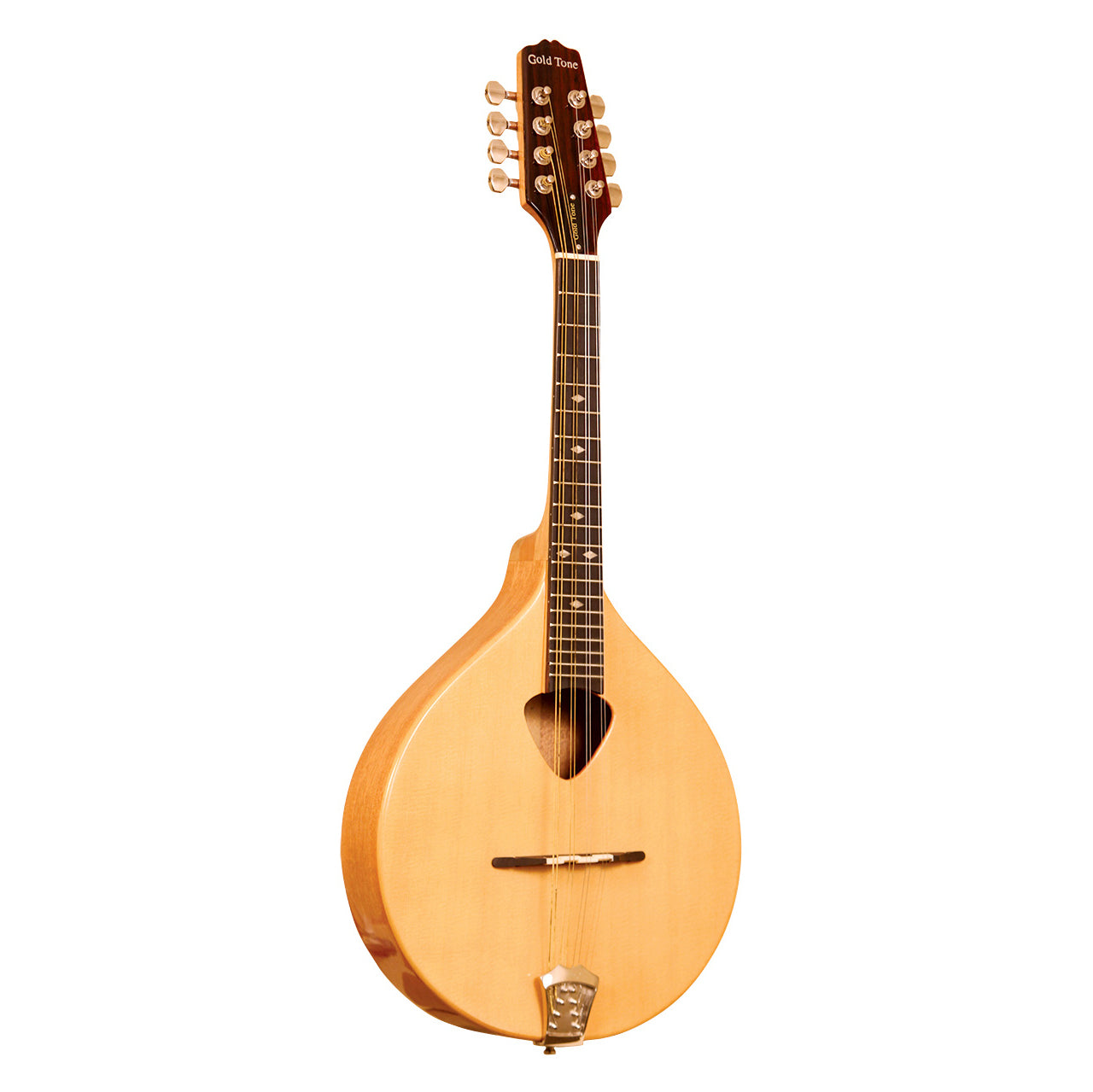 Gold Tone Mandola with bag