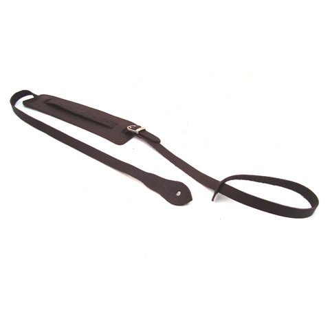 DSL Mandolin Brown/Brown Strap
