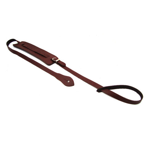 DSL Mandolin Maroon/Brown Strap