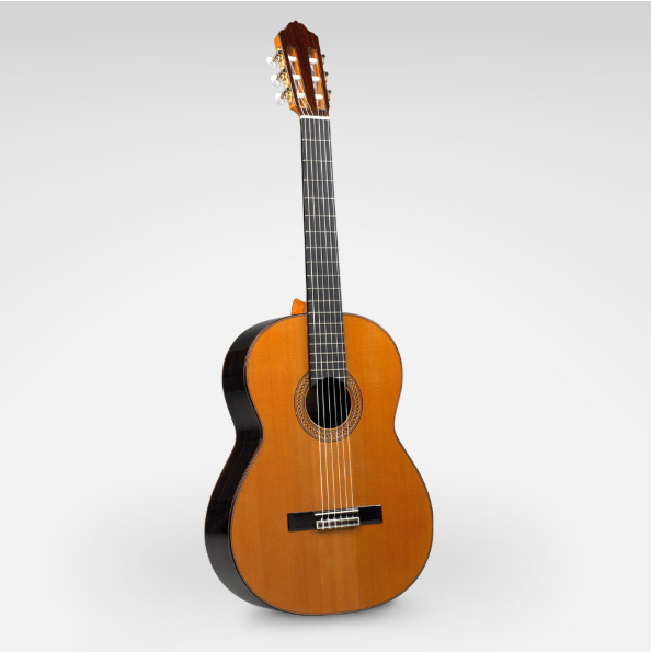 Esteve 9C/B Cedar/Indian Rosewood Classical Guitar All Solid