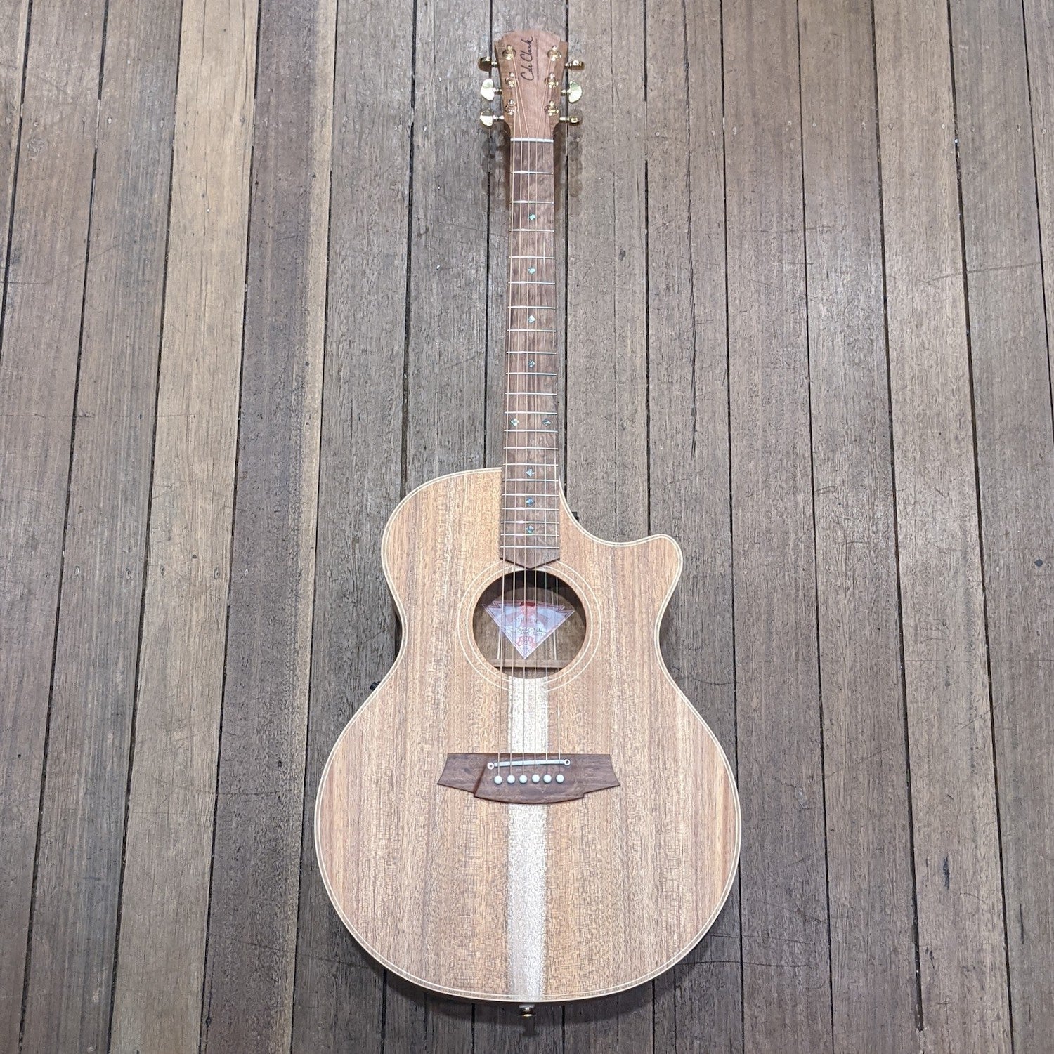 Cole Clark TL2EC Thin Line All Blackwood