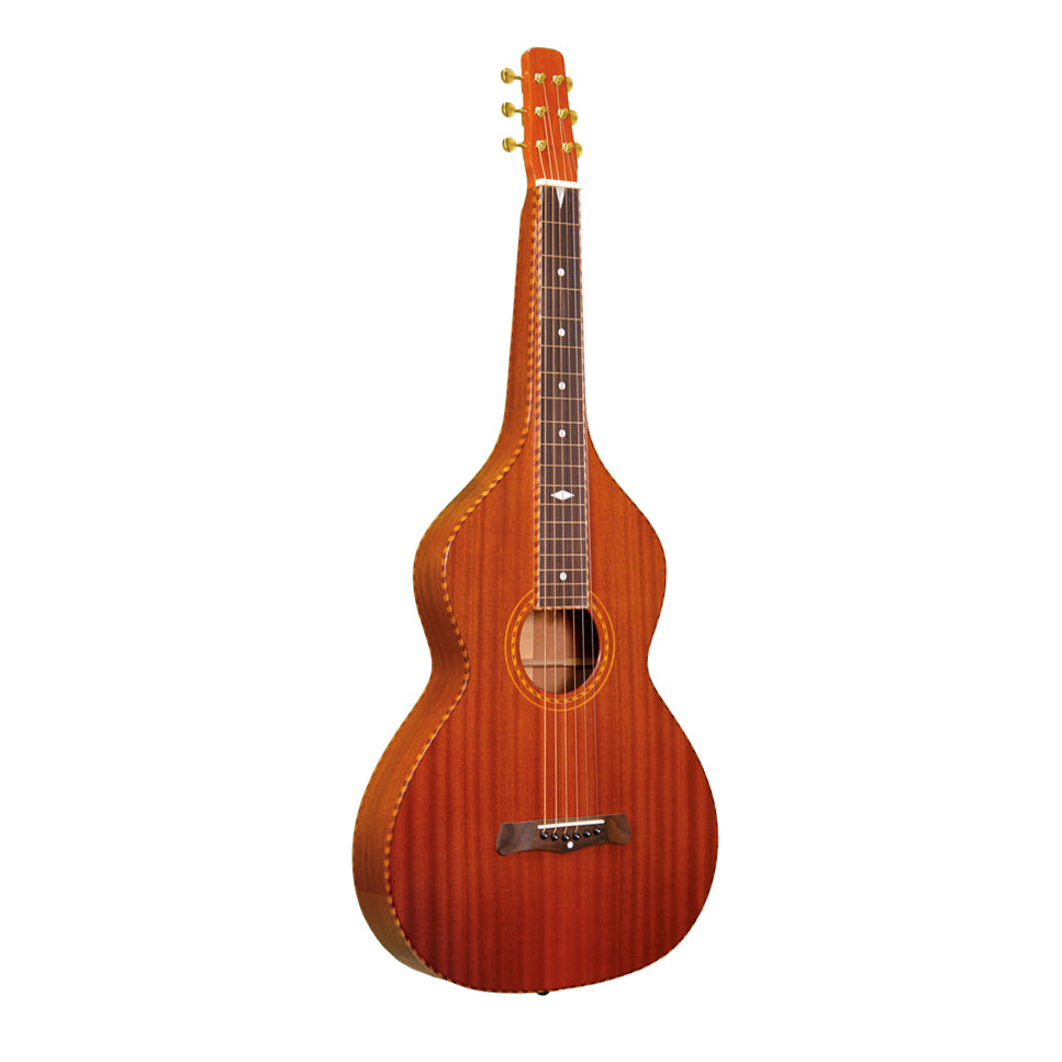 Gold Tone SM+ Weissenborn Hawaiian Steel with case