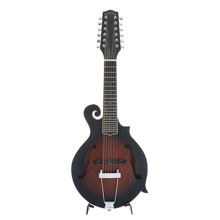 12 string mandolin top guitar