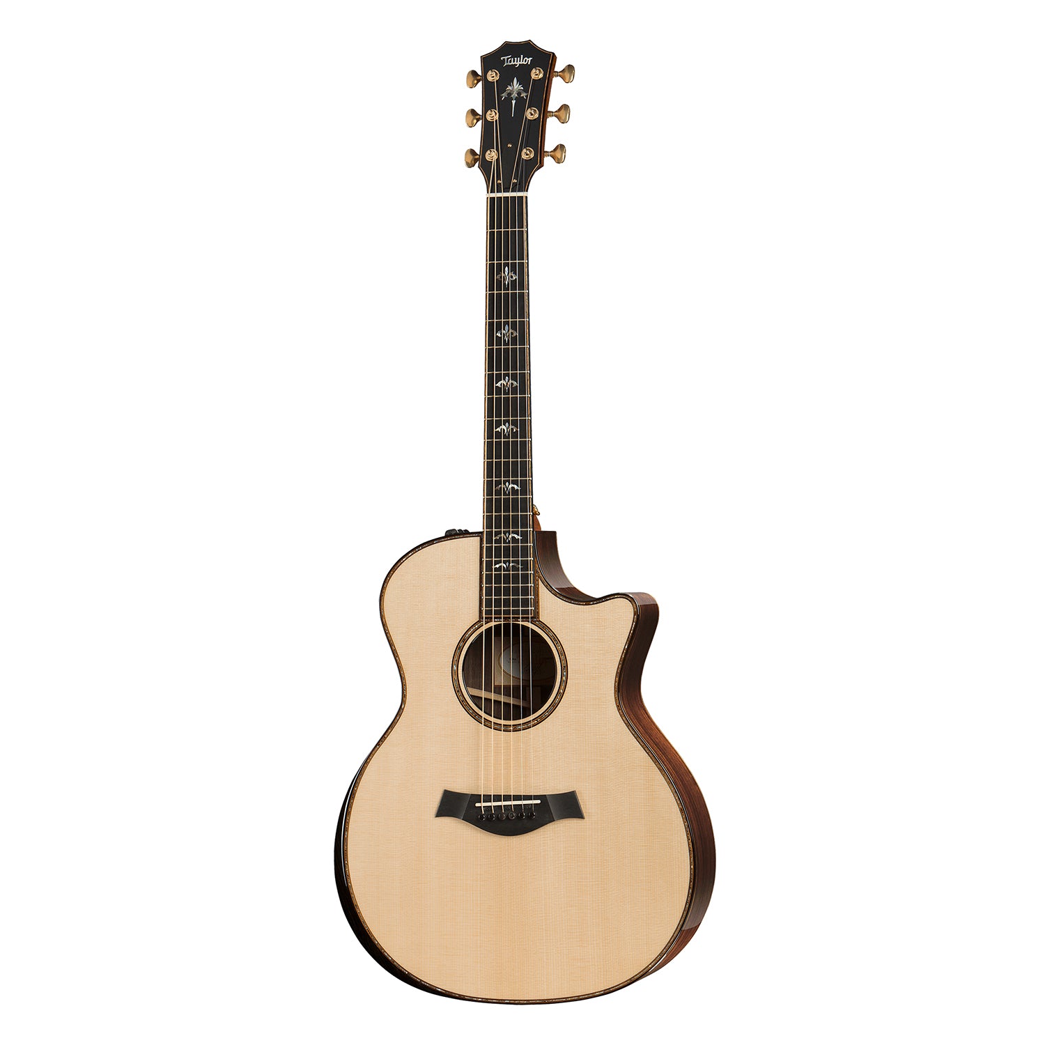 Taylor 914CE Grand Auditorium, V-Class Bracing
