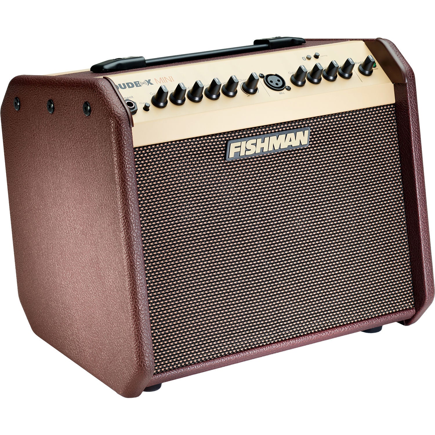 Fishman Loudbox Mini Amp w/-Bluetooth