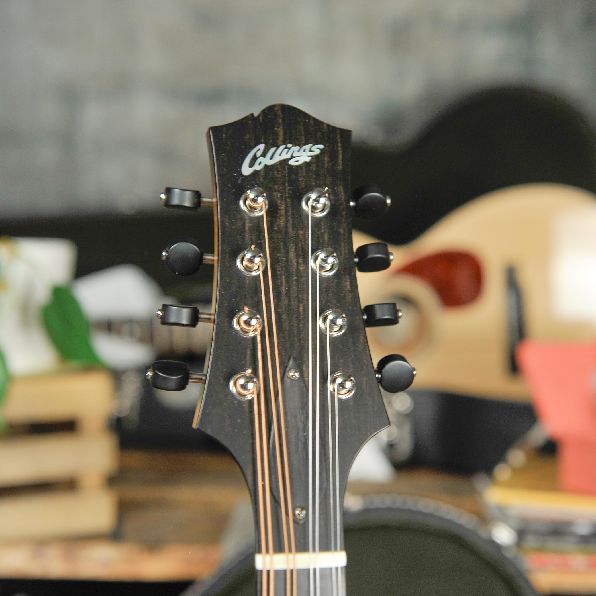 Mandolin Machine Heads