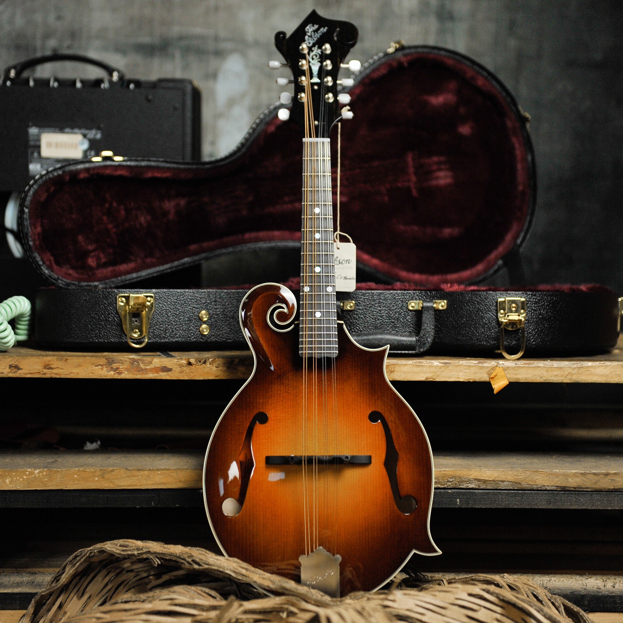 Mandolin Cases & Gig Bags