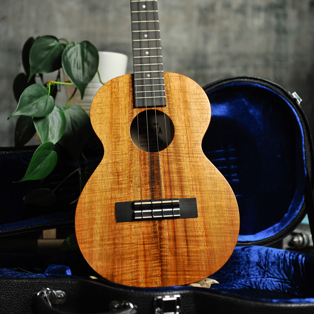 Other Folk Instruments