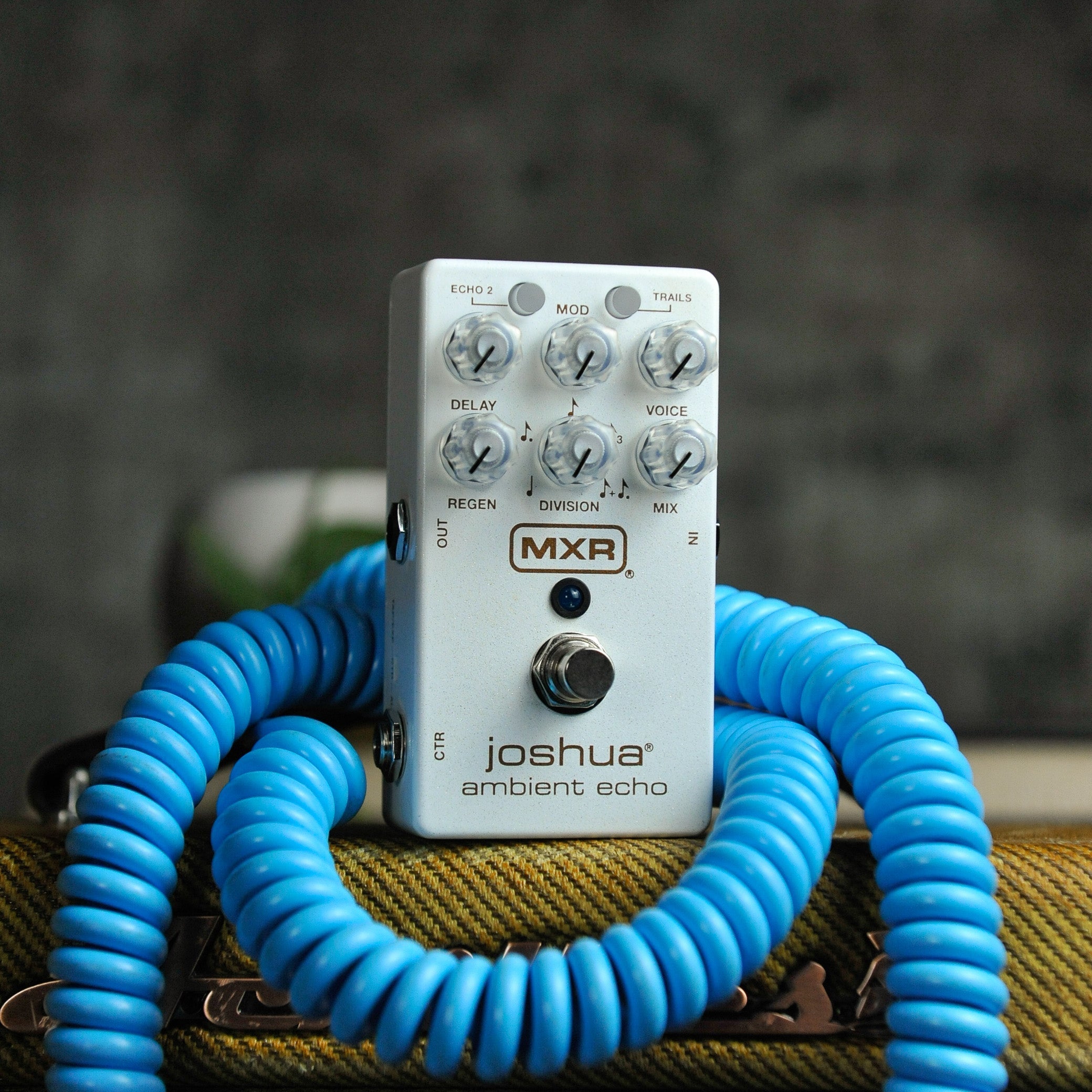 Delay and Echo Pedals