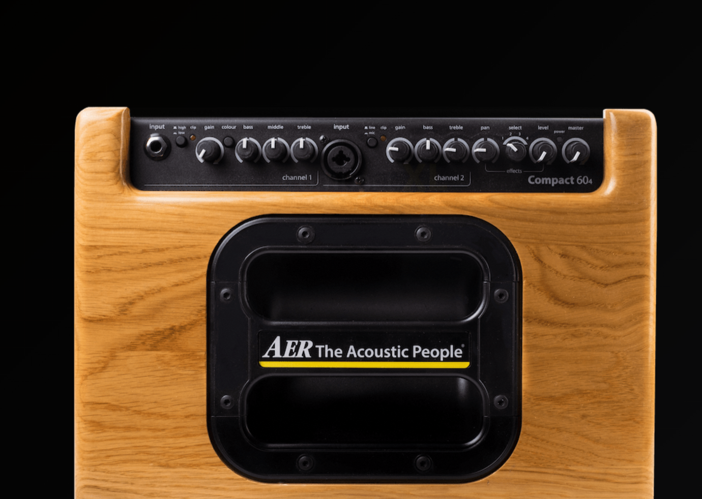 Image of an acoustic guitar amplifier