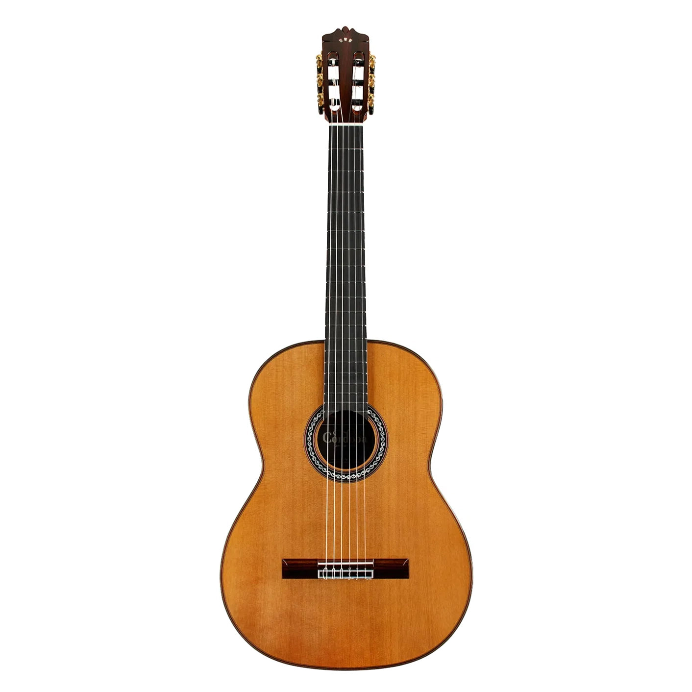 Cordoba C10CD All Solid Cedar Top Classical Guitar w/Case